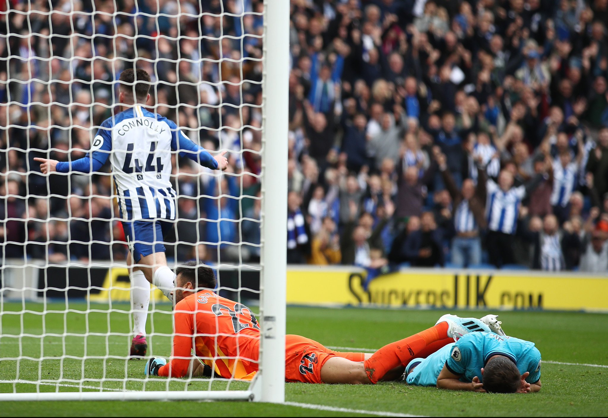 仅保障了球 仅保障了球