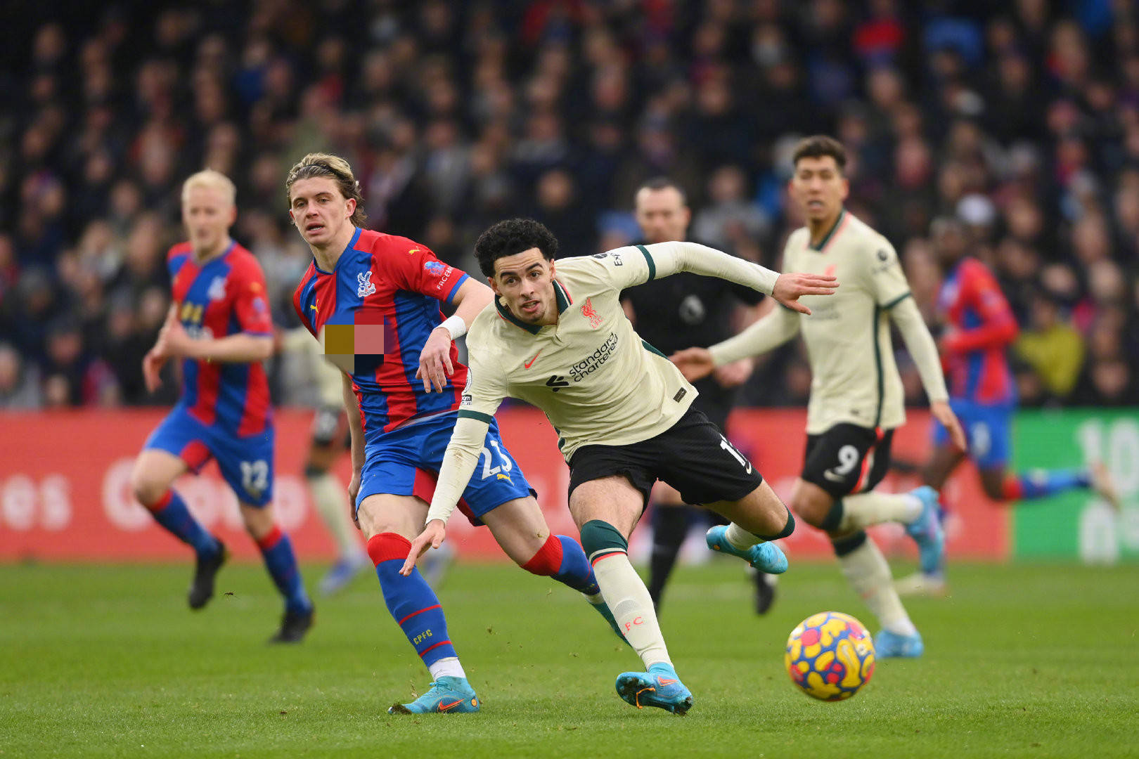 国家队的一 国家队的一